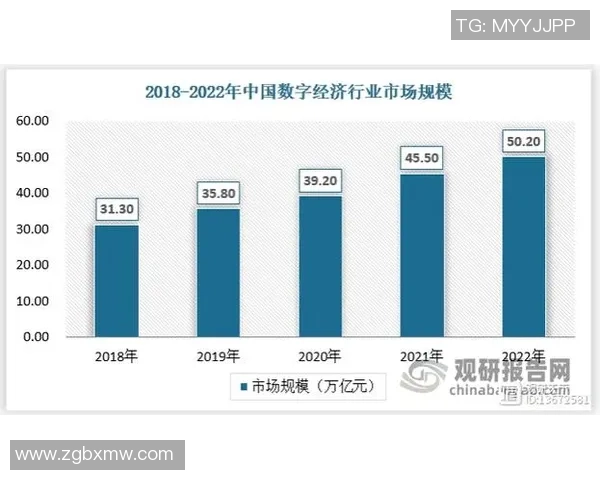 武汉篮球队的整体压制革新探索与未来发展路径分析 武汉篮球队的整体压制革新探索与未来发展路径分析
