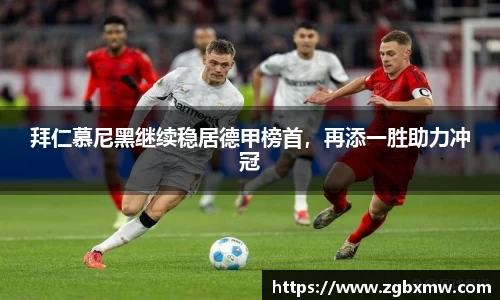 zoty中欧官方网站