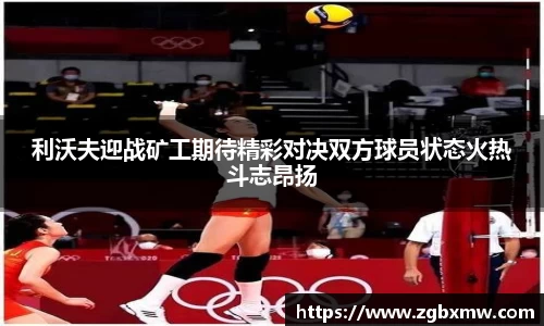 zoty中欧