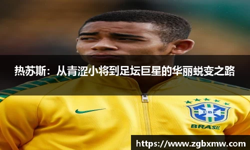 zoty中欧
