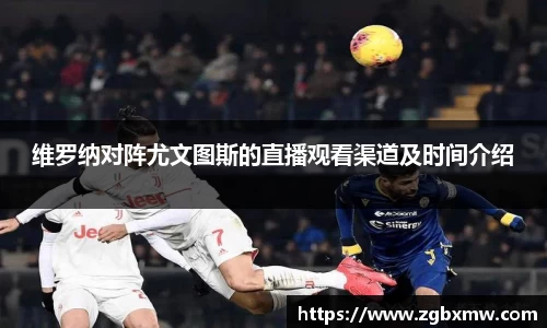 zoty中欧官方网站