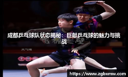 zoty中欧官方网站